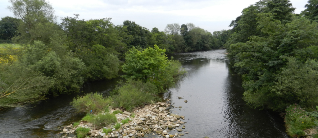 A river with greenery on either side on a cloudy day